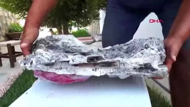 MUĞLA BU KEZ 'FOSİL' BULDU MUĞLA BU KEZ 'FOSİL' BULDU