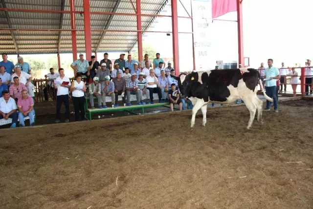 Podyuma çıkan düveler kapış kapış gitti