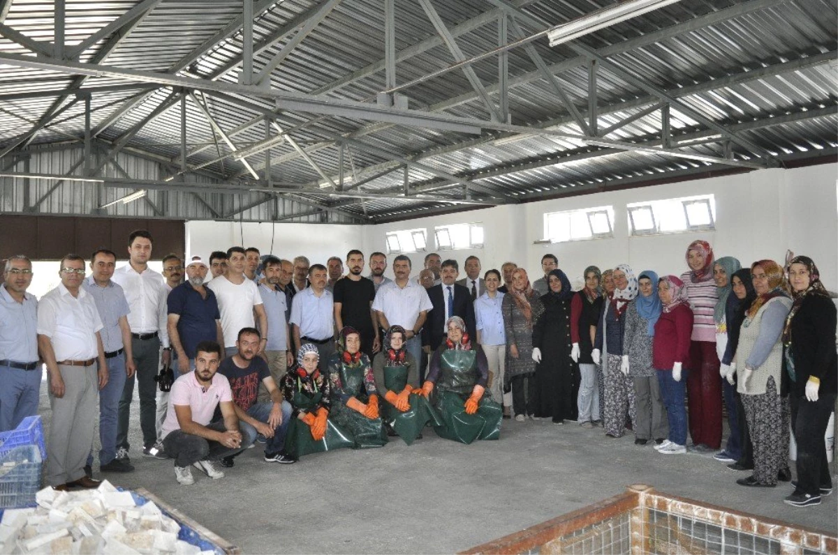 Şuhut'ta mermer süsleme sanatı fabrikası dualarla açıldı