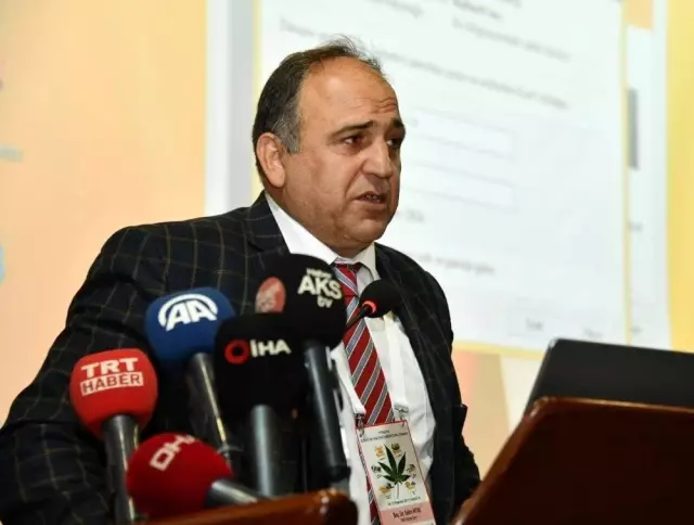 Türkiye'de kenevir üretiminde lokomotif il