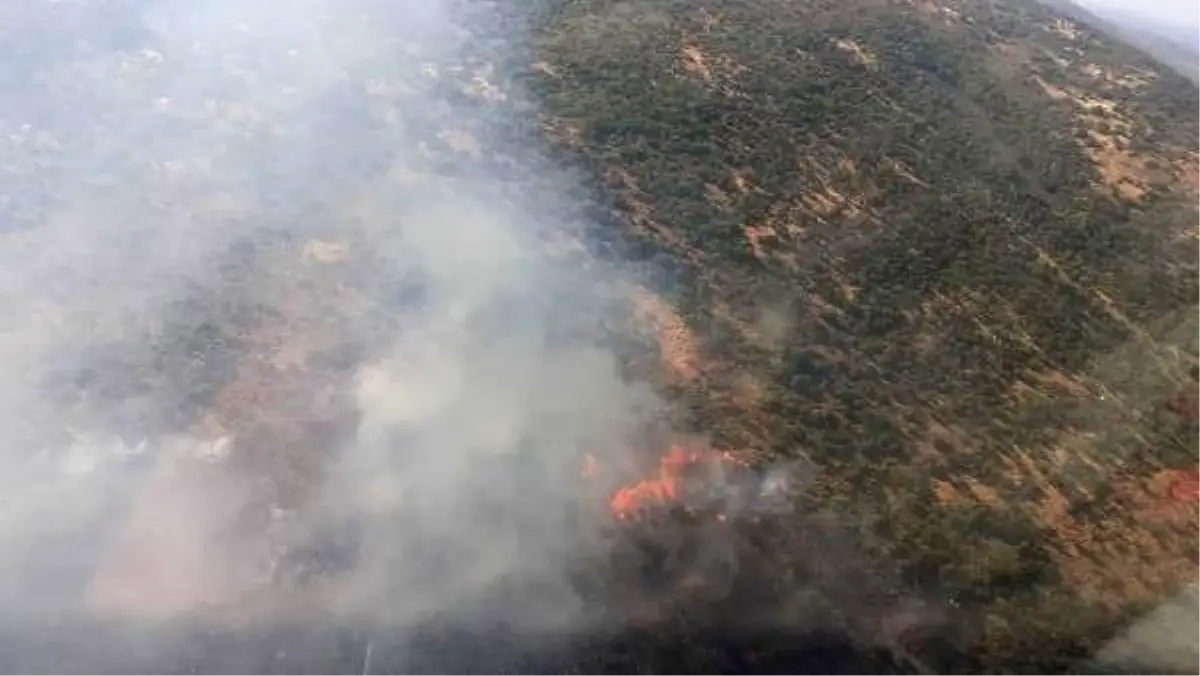 Urla'da 1 hektarlık makilik alan yandı