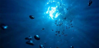 Araştırmalar, Okyanusların Oksijen Miktarı Hakkında İlginç Sonuçlar Ortaya Koydu