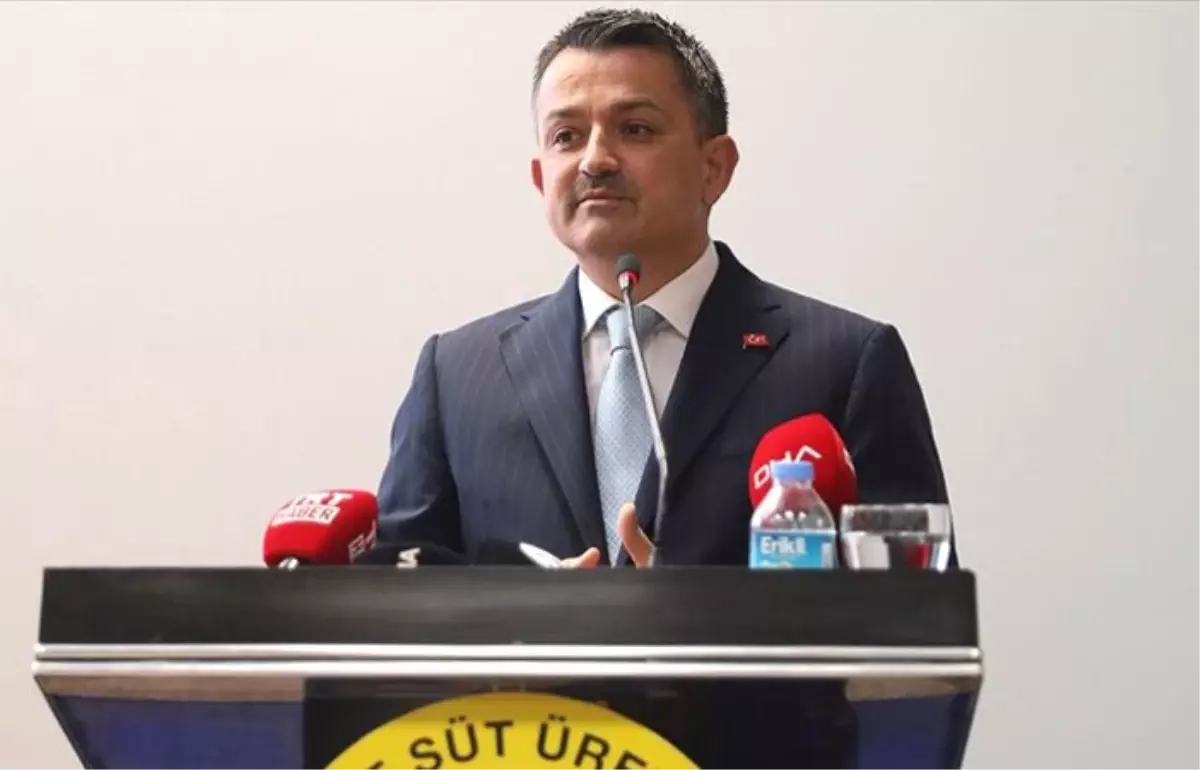 Bakan Pakdemirli'den etçi buzağı üreticilerine destek