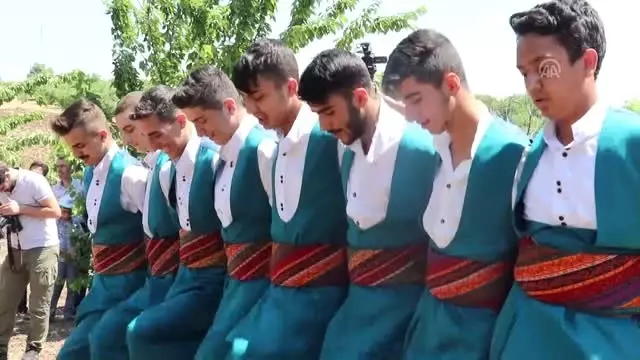 Elazığ'da kiraz hasadı şenliği Elazığ'da kiraz hasadı şenliği
