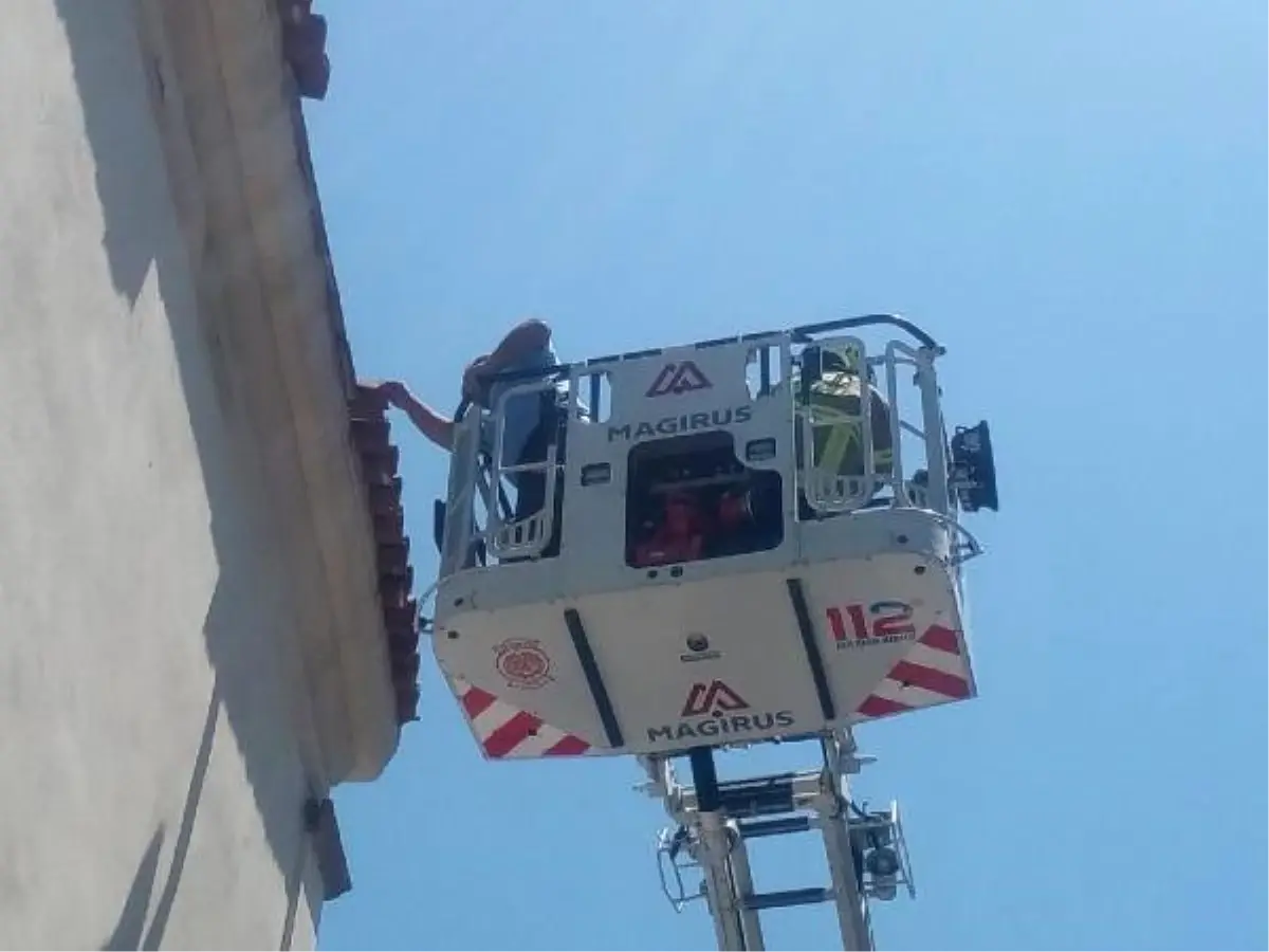 Kiremitlerin arasına sıkışan serçeyi itfaiyeciler kurtardı