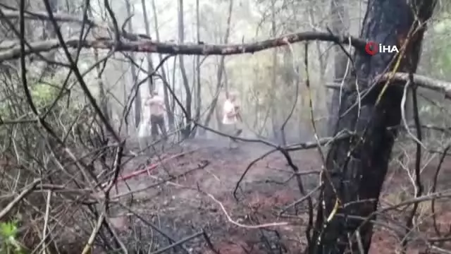 Osmaniye'de orman yangını