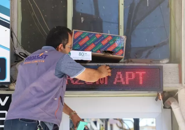 Sivas'ta arı paniği