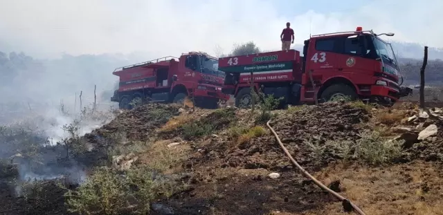 Tire'deki makilik yangını söndürüldü Tire'deki makilik yangını söndürüldü