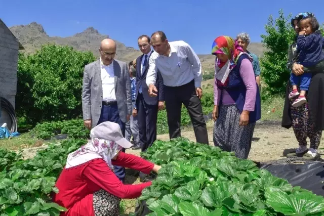 Vali Demirtaş: