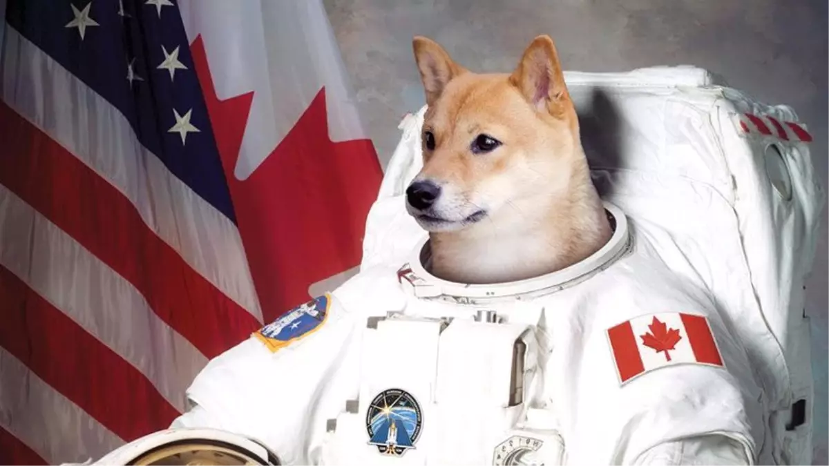 'Astronotların Sağlığı İçin Uzaya Daha Fazla Köpek Gönderilmeli'