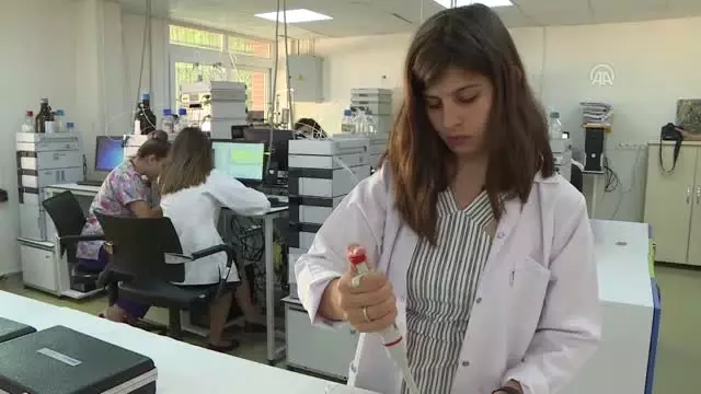 Beyin kanserinde 'bariyer' koklayarak alınan ilaçla aşılacak Beyin kanserinde 'bariyer' koklayarak alınan ilaçla aşılacak