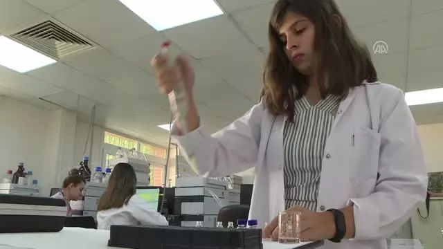 Beyin kanserinde 'bariyer' koklayarak alınan ilaçla aşılacak Beyin kanserinde 'bariyer' koklayarak alınan ilaçla aşılacak
