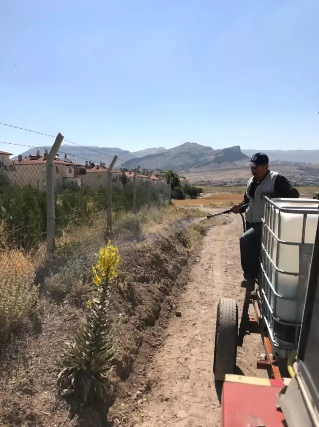 Develi'de parklarda çim biçme ve ilaçlama çalışması Develi'de parklarda çim biçme ve ilaçlama çalışması