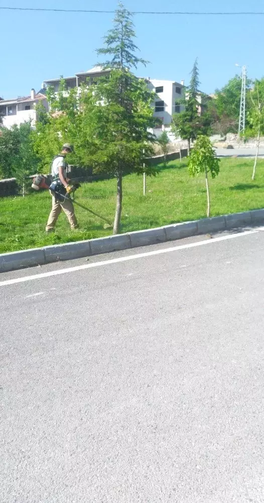 Develi'de parklarda çim biçme ve ilaçlama çalışması Develi'de parklarda çim biçme ve ilaçlama çalışması
