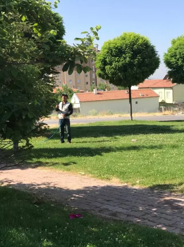 Develi'de parklarda çim biçme ve ilaçlama çalışması Develi'de parklarda çim biçme ve ilaçlama çalışması