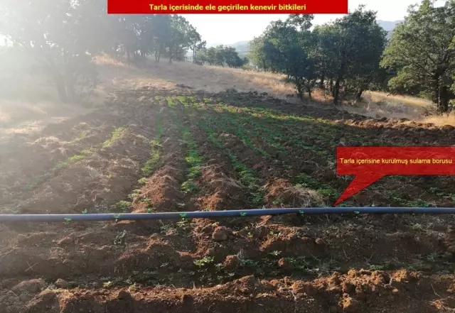 Diyarbakır'da dev uyuşturucu operasyonu Diyarbakır'da dev uyuşturucu operasyonu