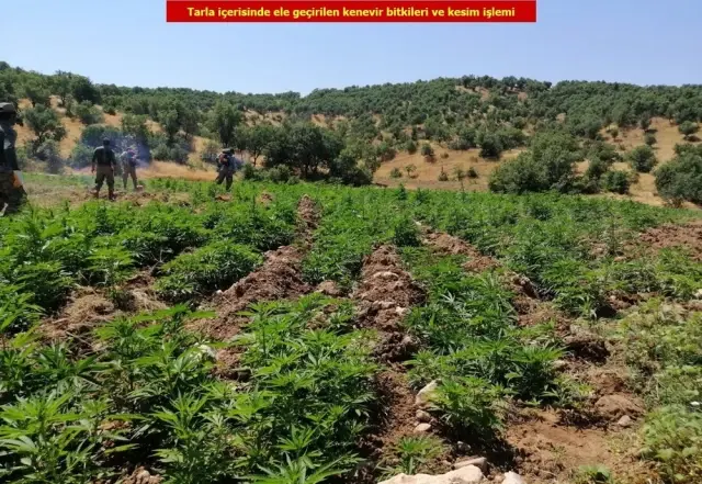 Diyarbakır'da dev uyuşturucu operasyonu Diyarbakır'da dev uyuşturucu operasyonu