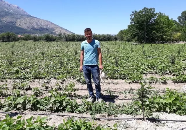 Isparta'da 34 üreticiye 402 bin lira bireysel sulama sistemi desteği Isparta'da 34 üreticiye 402 bin lira bireysel sulama sistemi desteği