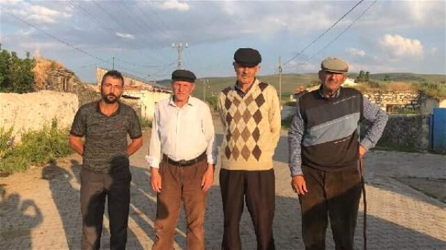 Kars'ta köylüleri domuz sürüsü ve ayı korkusu sardı!