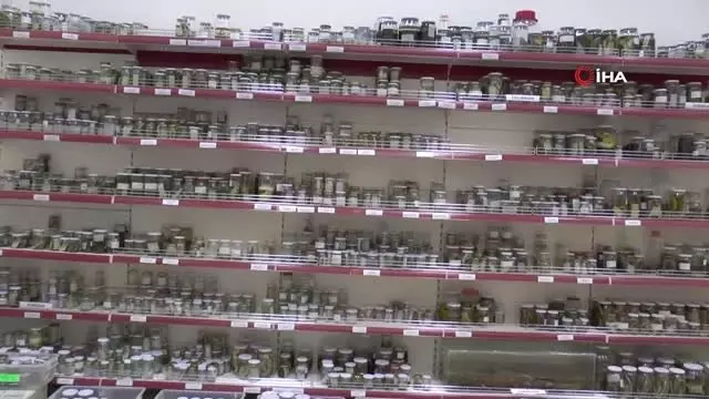 Sürüngen ve kurbağa laboratuvarı müzeye dönüştürülüyor Sürüngen ve kurbağa laboratuvarı müzeye dönüştürülüyor