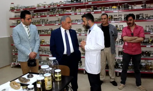 Sürüngen ve kurbağa laboratuvarı müzeye dönüştürülüyor