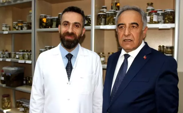 Sürüngen ve kurbağa laboratuvarı müzeye dönüştürülüyor
