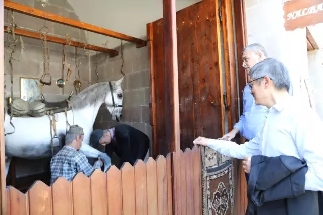 Tayvanlı bürokrat Battalgazi'ye hayran kaldı Tayvanlı bürokrat Battalgazi'ye hayran kaldı