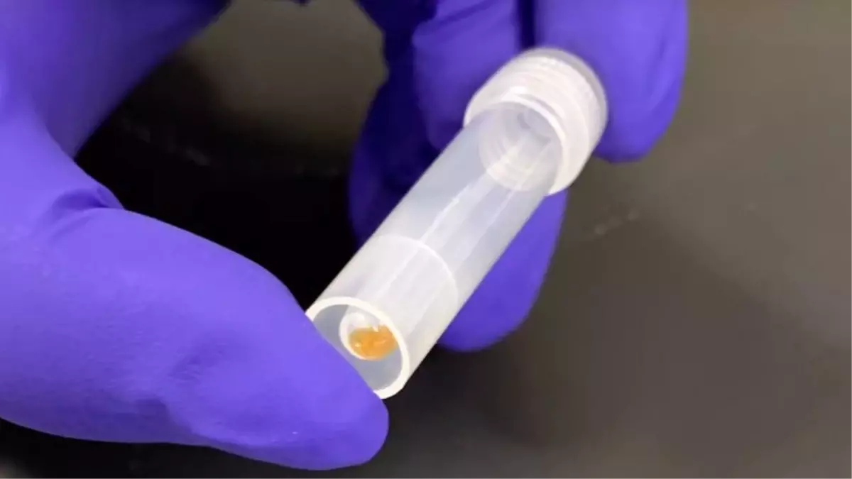 ABD'li Şirket Catalog, 16 GB'lık Wikipedia Verisini DNA'ya Yerleştirmeyi Başardı