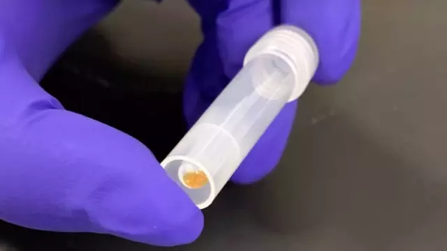 ABD'li Şirket Catalog, 16 GB'lık Wikipedia Verisini DNA'ya Yerleştirmeyi Başardı ABD'li Şirket Catalog, 16 GB'lık Wikipedia Verisini DNA'ya Yerleştirmeyi Başardı
