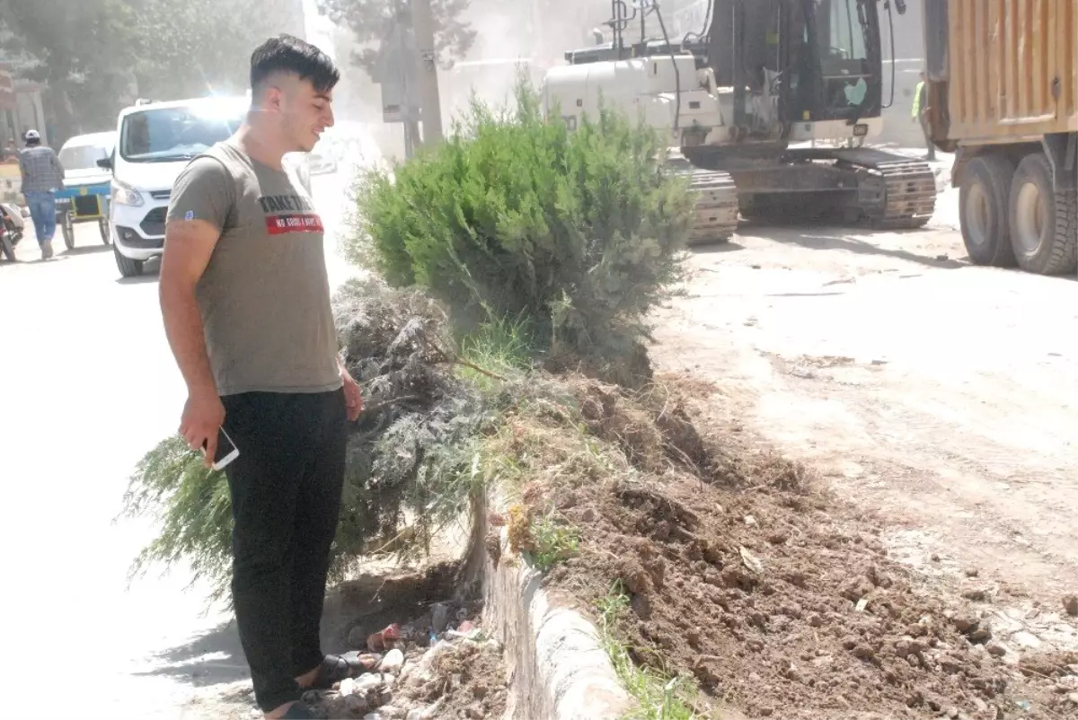 Ağacı kıran genç İHA'ya konuştu