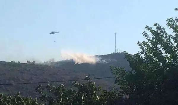Datça'da makilik alanda yangın (2)