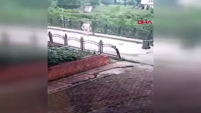 RİZE Belediye işçisinin yavru köpeği faraşa koyup dereye attığı anlar kamerada RİZE Belediye işçisinin yavru köpeği faraşa koyup dereye attığı anlar kamerada
