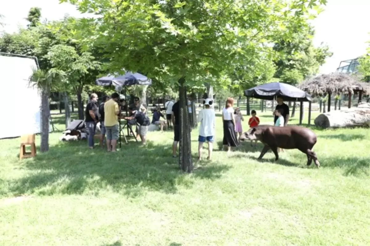 Bursa doğal film platosu