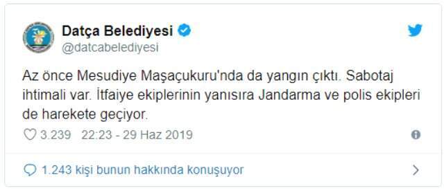 Datça'daki yangında sabotaj şüphesi! Cami imamı yardım çağrısı yaptı