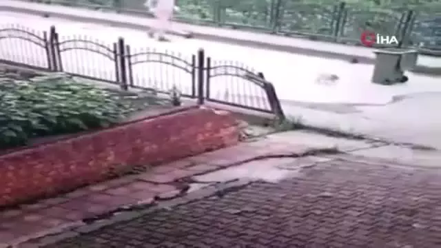 İnsanlığını süpürüp denize attı ! İnsanlığını süpürüp denize attı !