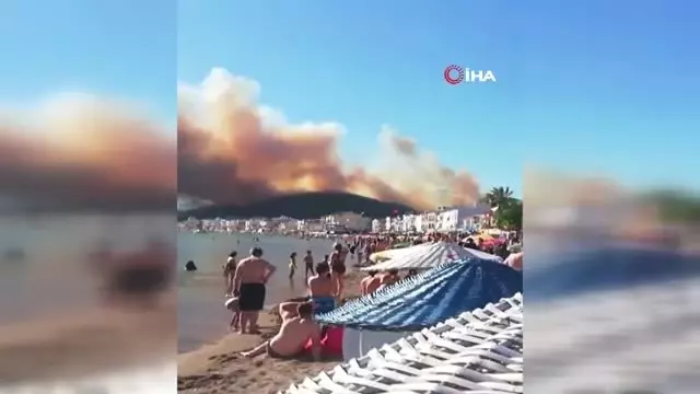 İzmir�deki Çandarlı bölgesinde, yazlık sitelerinin yanında orman