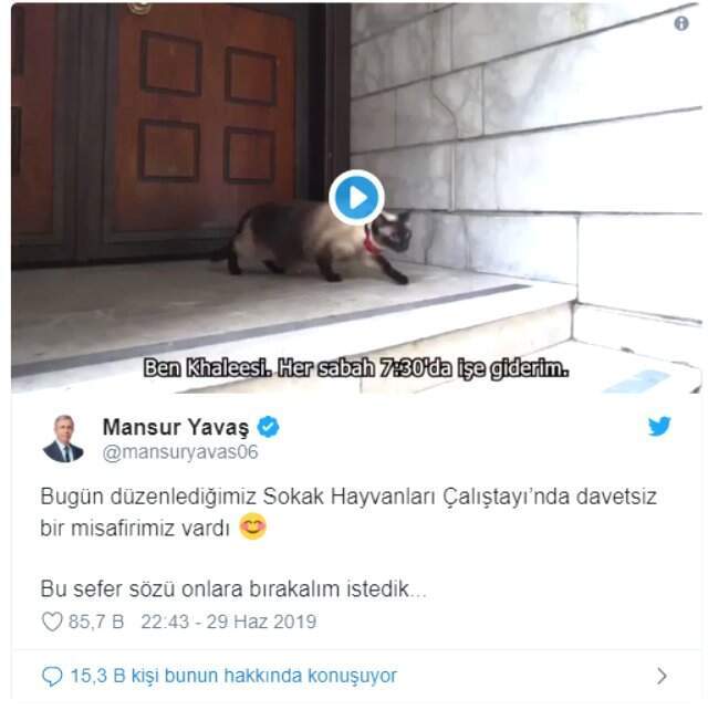 Mansur Yavaş sosyal medyayı salladı! Melih Gökçek'e 'fışkiye' göndermesi