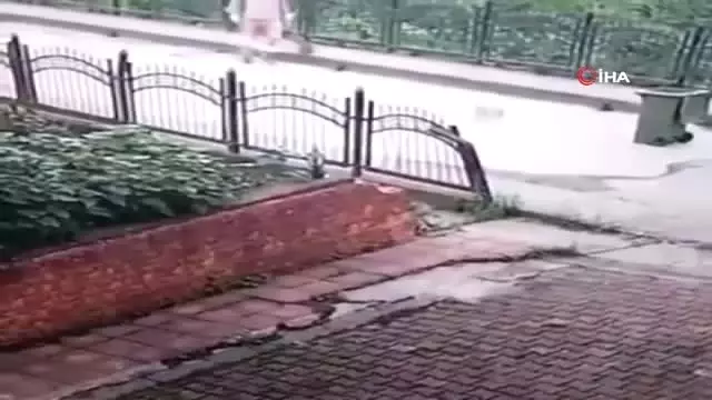 Kan donduran görüntüler! Temizlik işçisi, yavru köpeği çöp gibi süpürüp dereye attı Kan donduran görüntüler! Temizlik işçisi, yavru köpeği çöp gibi süpürüp dereye attı