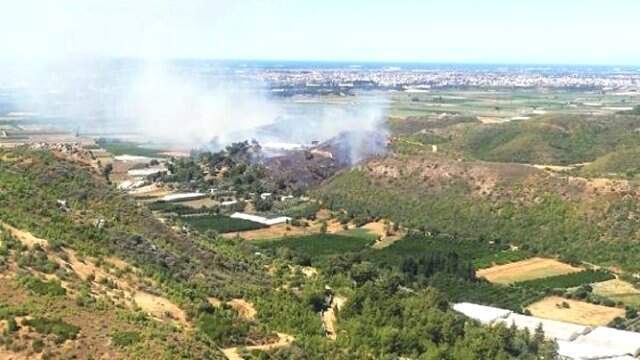 Antalya'da korkutan orman yangını! 1 hektar orman alanı kül oldu