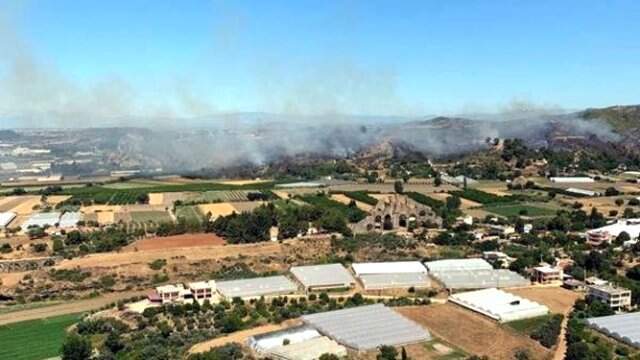 Antalya'da korkutan orman yangını! 1 hektar orman alanı kül oldu