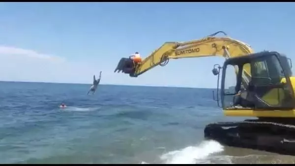 İş makinesiyle deniz keyfi İş makinesiyle deniz keyfi