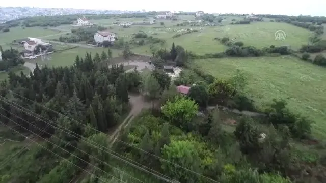Yıllarca emek verip kıraç alanı