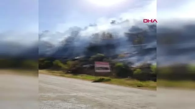 Antalya'da orman yangını Antalya'da orman yangını