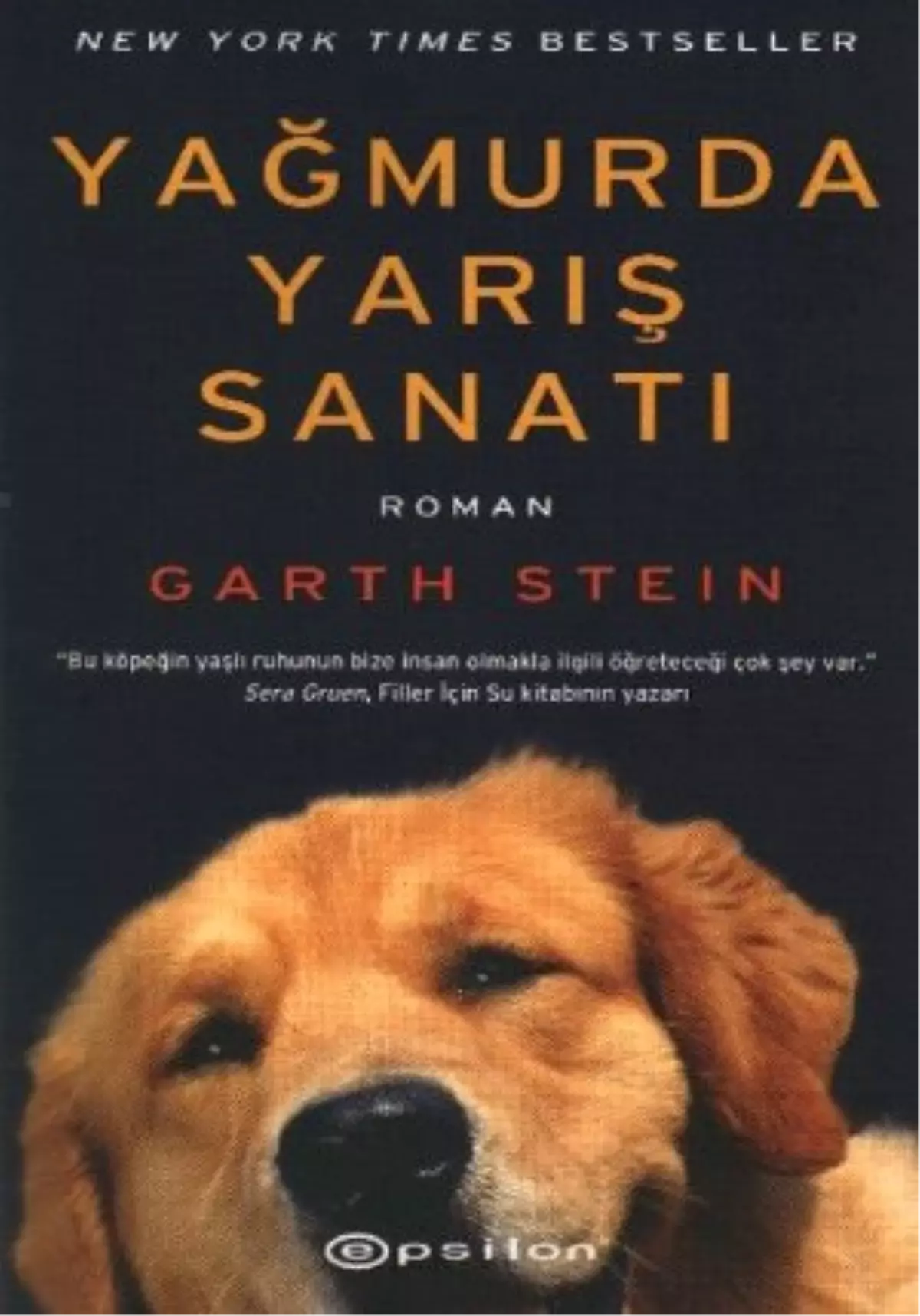 Enzo: Yağmurda Yarış Sanatı Filmi