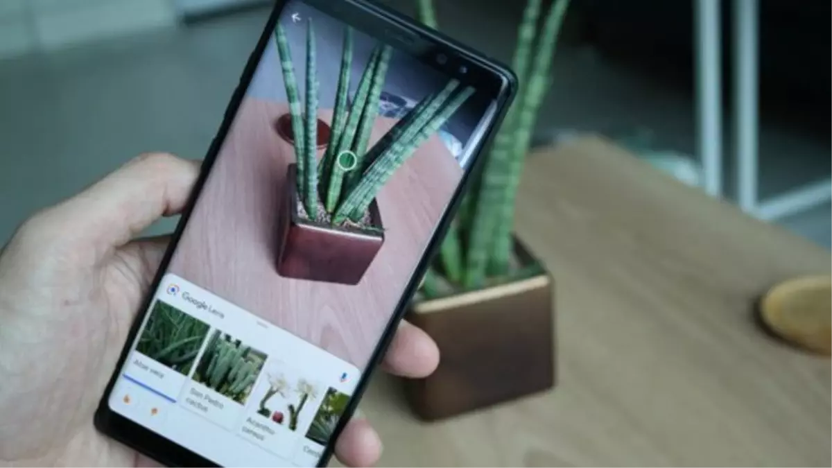 Google Lens, Sanatçıların Tabloları Hakkında Bilgi Verebilir Hale Geldi