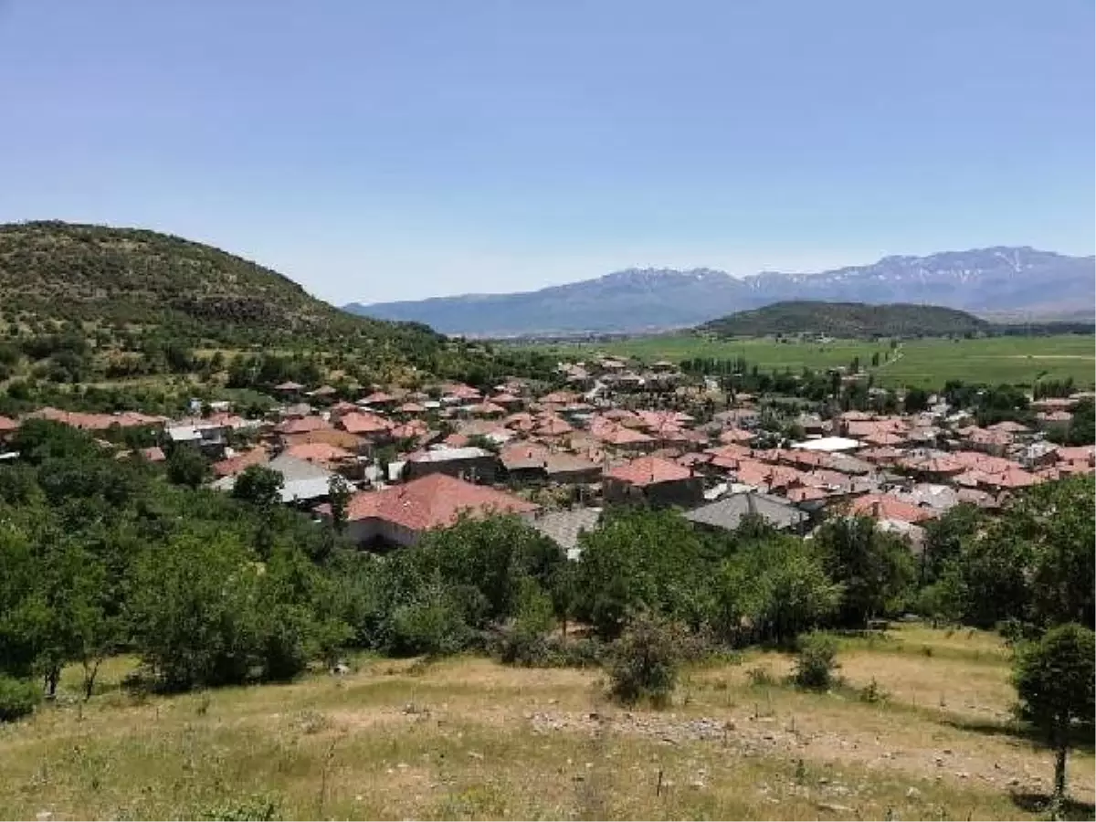 Seydişehir'de bir yayla 'kuduz' nedeniyle karantinaya alındı