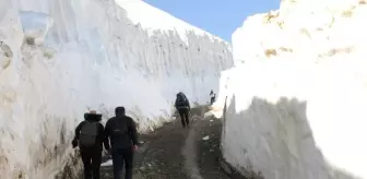 Eynesil Halk Eğitim Merkezi: Temmuz ayında insan boyunu aşan kar kütleleri arasında yürüyüş Eynesil Halk Eğitim Merkezi: Temmuz ayında insan boyunu aşan kar kütleleri arasında yürüyüş