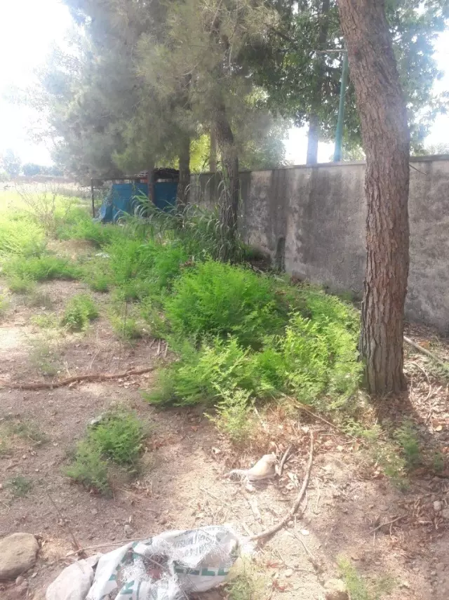 Hırsızlar onlarca köpeği susuz bıraktılar Hırsızlar onlarca köpeği susuz bıraktılar