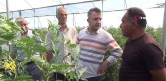 Sebze üreticisi Necmettin Yavuz: 'Hedefimiz Gevaş'ı doğunun Çukurova'sı yapmaktır'