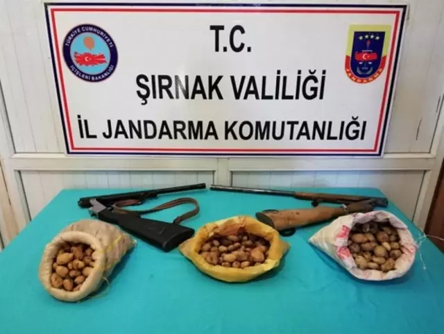 Sahlep soğanı toplayan üç kişiye 204 bin Lira kazanç cezası verildi